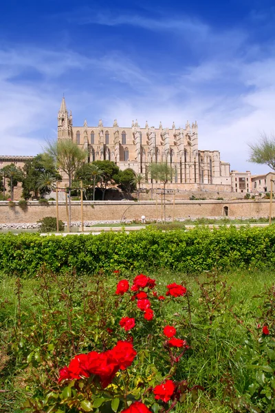 Mallorca-katedralen och almudaina från röda blommor trädgård — Stockfoto