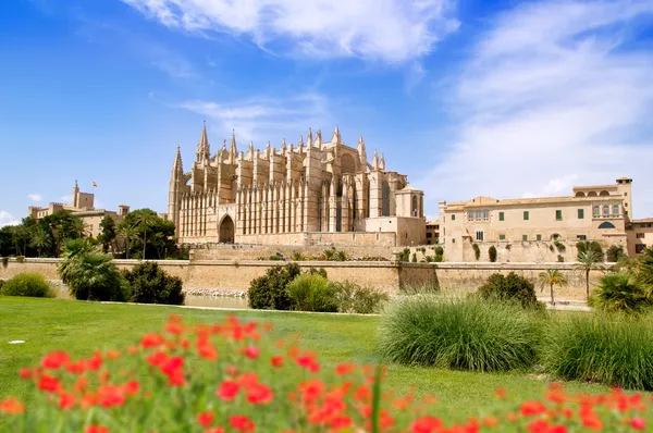 Majorka katedry i almudaina z czerwonych kwiatów ogród — Zdjęcie stockowe