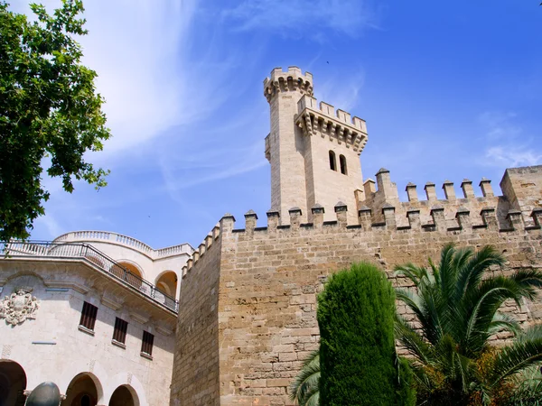 Palacio de la Almudaina en palma de mallorca desde Mallorca — Stockfoto
