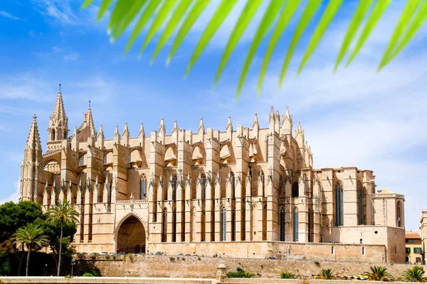 Catedral de Mallorca La seu desde Palma de Mallorca —  Fotos de Stock