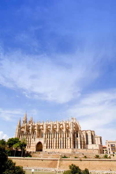 Katedral Mayorka la seu palma de mallorca gelen — Stok fotoğraf