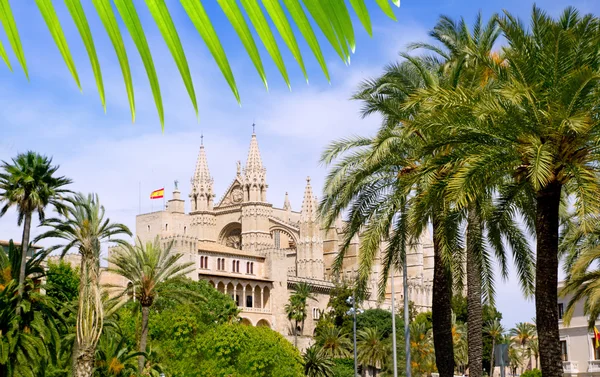 Almudaina i Katedra w palma de Mallorca w Majorka — Zdjęcie stockowe