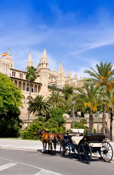 Carrozza con cavalli nella cattedrale di Palma di Maiorca — Foto Stock
