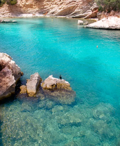 Calvia Cala Fornells turquesa mediterrânea em Maiorca — Fotografia de Stock