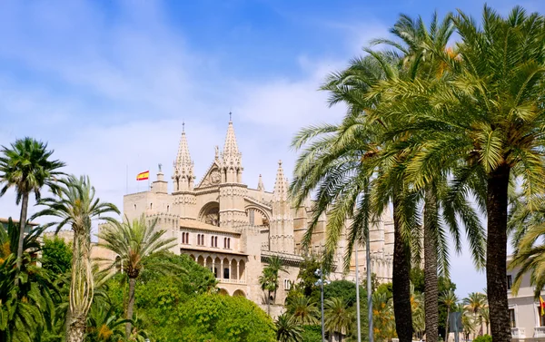 Almudaina และโบสถ์ Palma de Mallorca ใน Maj Mallorca — ภาพถ่ายสต็อก