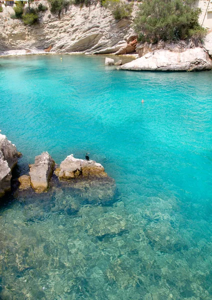 Calvia Cala Fornells turquesa mediterráneo en Mallorca — Foto de Stock