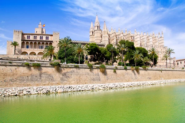 Mallorca la seu kathedraal en almudaina van palma — Stockfoto