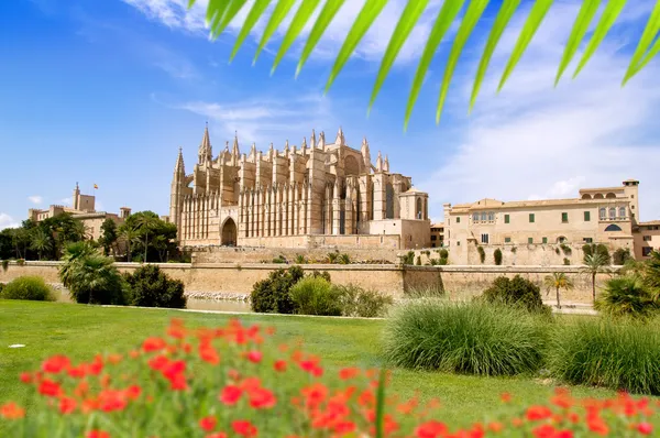 Majorca Cathedral and Almudaina from red flowers garden Stock Photo
