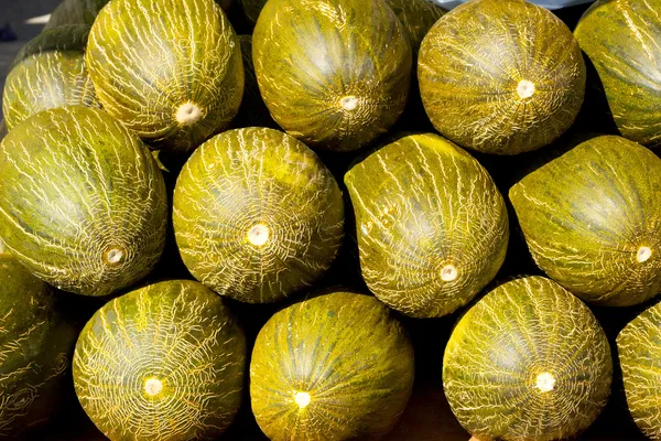Crhistmas melon eller santa claus piel de sapo — Stockfoto