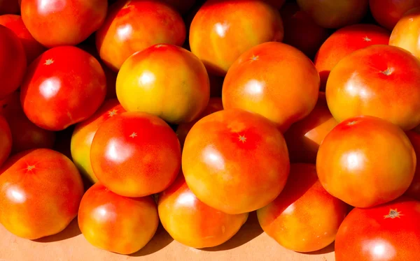 Tomates rojos maduros verduras perfectas —  Fotos de Stock