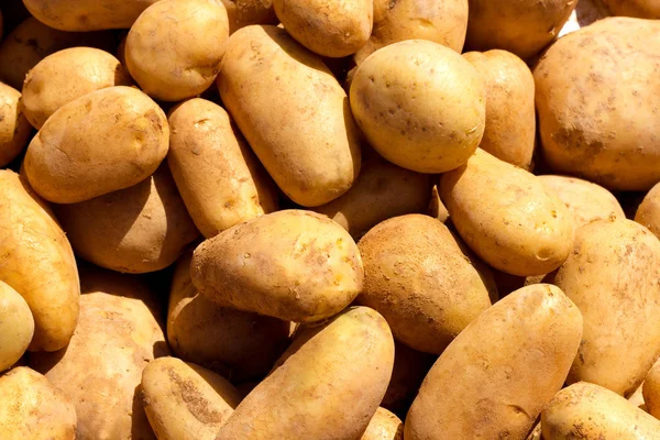 褐色土豆图案纹理 — 图库照片