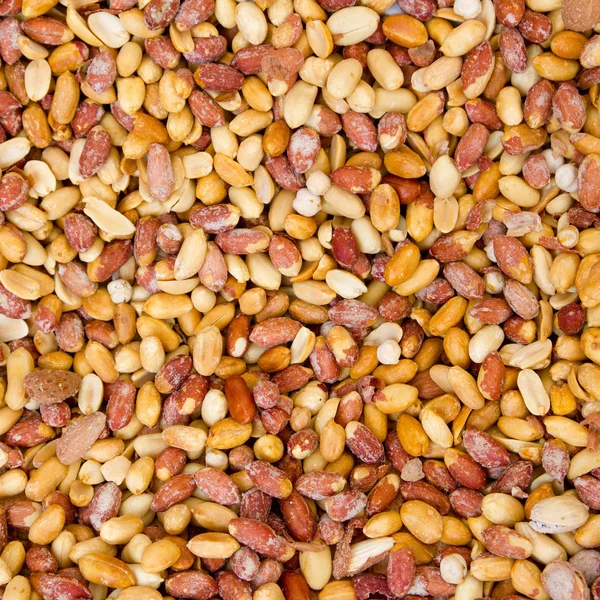 Patrón de cacahuetes textura de frutos secos — Foto de Stock