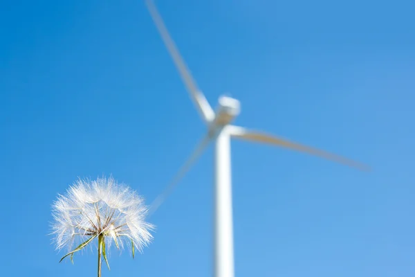 Dandelion and windmill background green energy — Stock Photo, Image