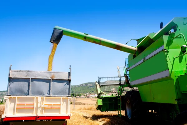 Combine colheitadeira descarregamento de trigo no caminhão — Fotografia de Stock