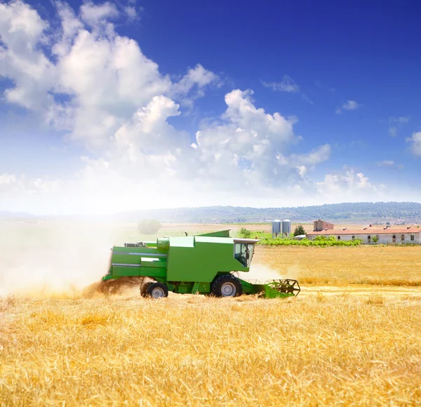 コンバインハーベ スター小麦穀物の収穫 — ストック写真