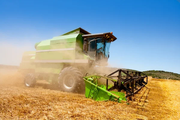 コンバインハーベ スター小麦穀物の収穫 — ストック写真