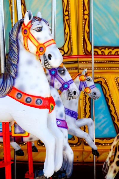 메리에 있는 말 놀이 한판 — 스톡 사진