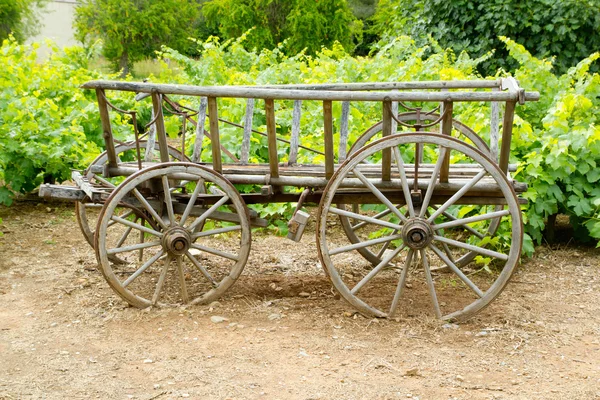 Vino viejo carro de caballos de madera en el campo de uva —  Fotos de Stock