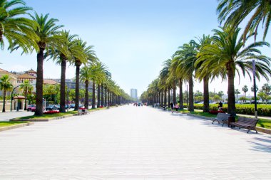Beach boulevard in Salou with palm trees clipart