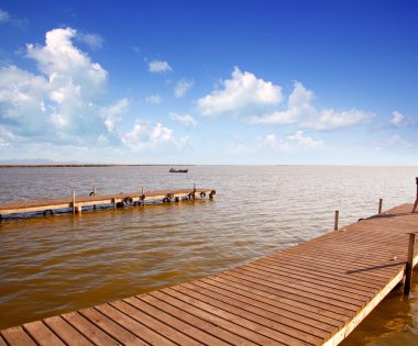 Albufera lake horizon daylight in Valencia clipart