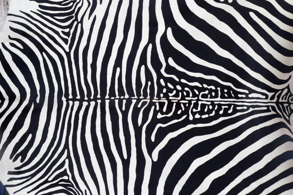 stock image Zebra leather skin texture painted