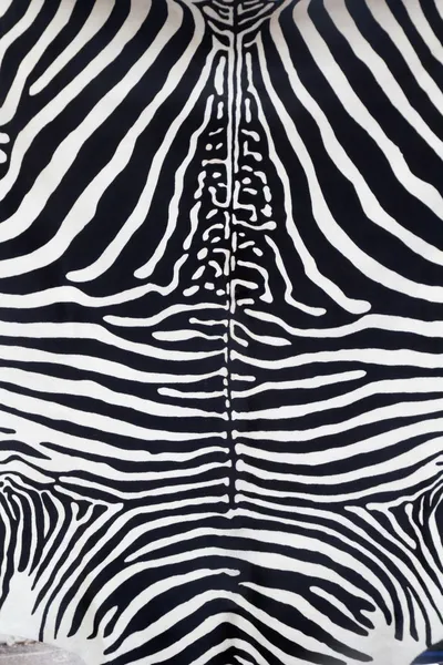 Textury kůže kůže zebra, malované — Stock fotografie