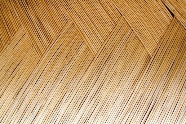 Dried cane pattern interlaced texture — Stock Photo, Image