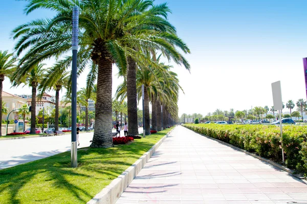 Beach boulevard in Salou with palm trees — Stock Photo, Image