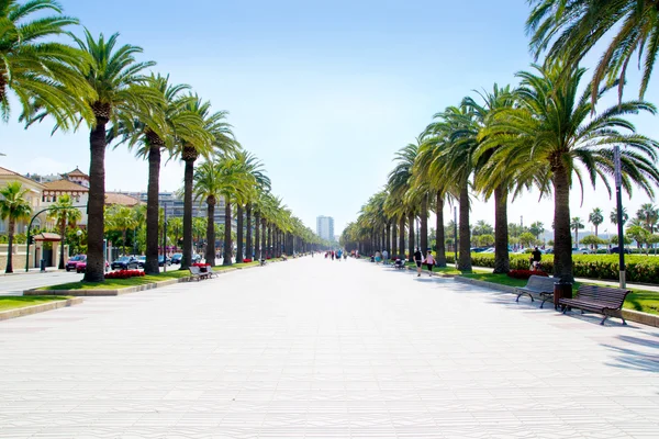 Boulevard de playa en Salou con palmeras — Foto de Stock