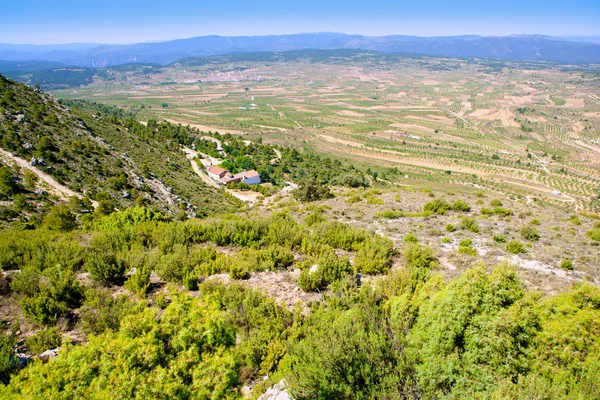 Aras de los olmos vallei in valencia, Spanje — Stockfoto