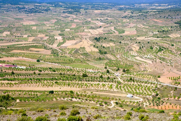 Aras 드 로스 olmos 계곡 발렌시아 스페인 — 스톡 사진
