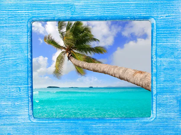 stock image Blue wood frame with palm tree beach