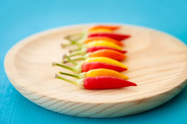 Красочные острые перцы чили в ряд на тарелке — стоковое фото