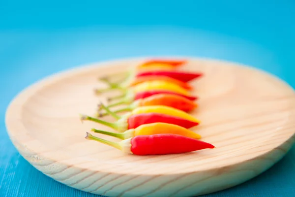 Colorful hot chili peppers in a row on plate — Stock Photo, Image