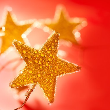 Christmas golden drops star in red clipart