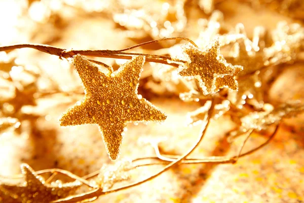 Jul gyllene stjärnor symboler från gren — Stockfoto
