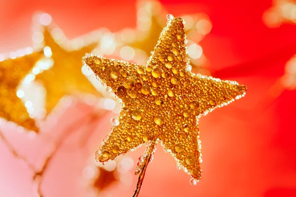Vánoční zlaté kapky hvězda v červené barvě — Stock fotografie