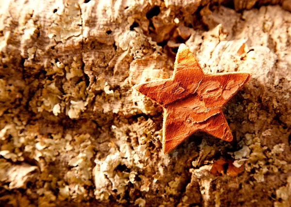 Bark star shape christmas symbol on cork — Stock Photo, Image