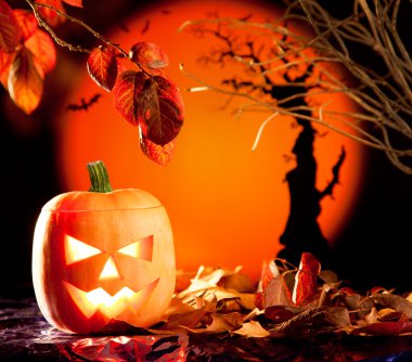 Halloween orange pumpkin on autumn leaves clipart