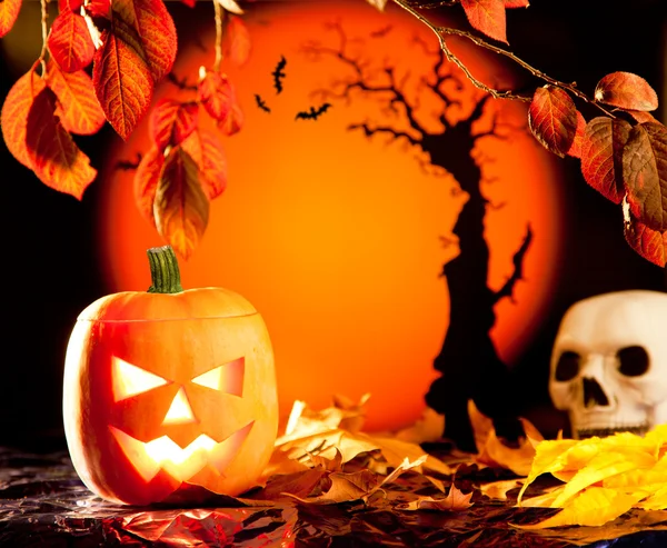 Halloween orange pumpa på hösten lämnar — Stockfoto
