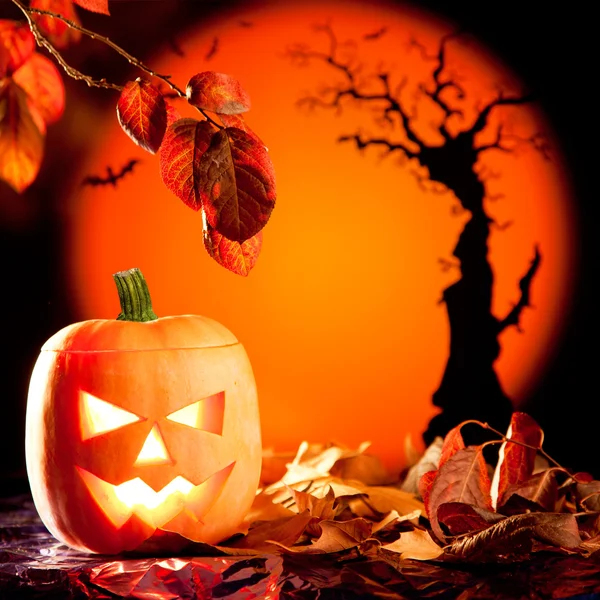 Abóbora de laranja de Halloween em folhas de outono — Fotografia de Stock