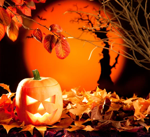 Calabaza naranja de Halloween en hojas de otoño — Foto de Stock