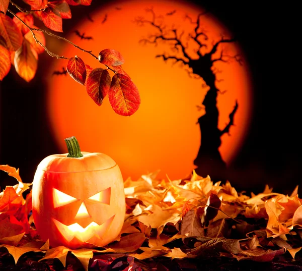 Zucca d'arancia di Halloween su foglie di autunno — Foto Stock