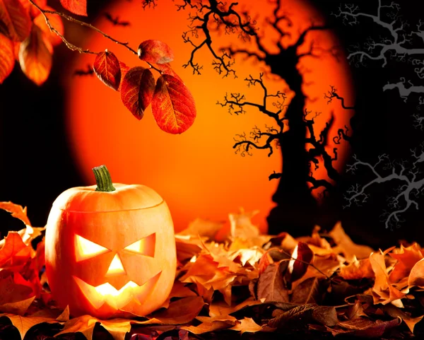 Halloween pomeranč dýně na podzim listy — Stock fotografie