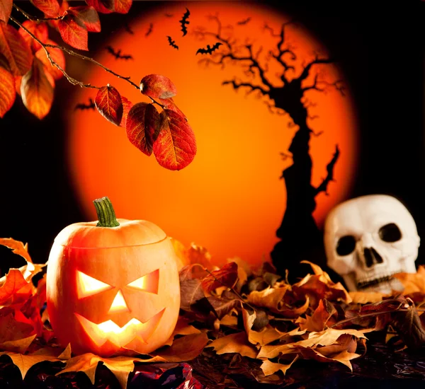Abóbora de laranja de Halloween em folhas de outono — Fotografia de Stock