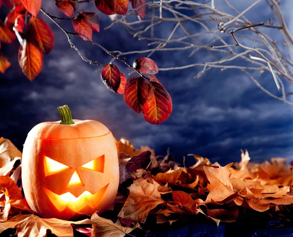 Halloween pompoen lantaarn in donkere hemel wolken — Stockfoto