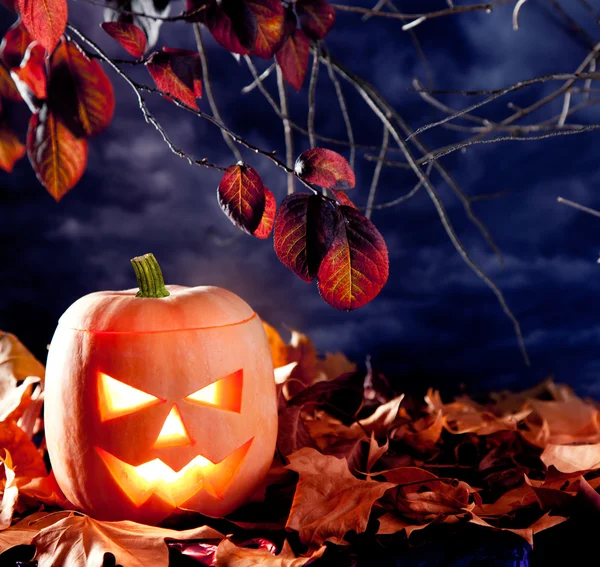 Halloween lantern pumpa i mörka himlen moln — Stockfoto