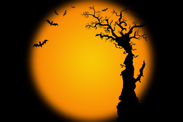 Hallowwen background illustration with bat and tree silhouette