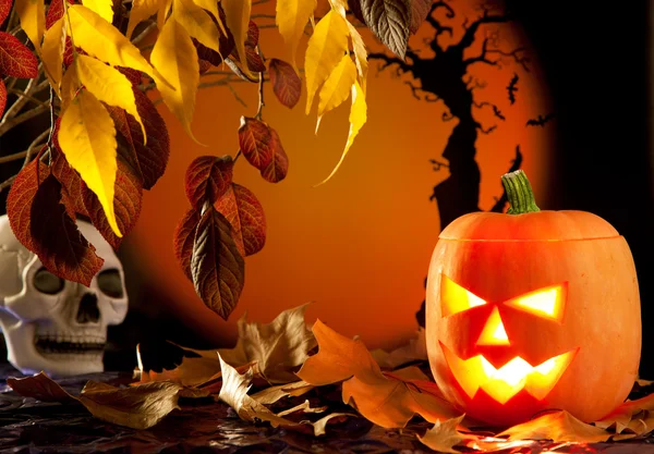 Halloween orange pumpkin on autumn leaves Royalty Free Stock Images