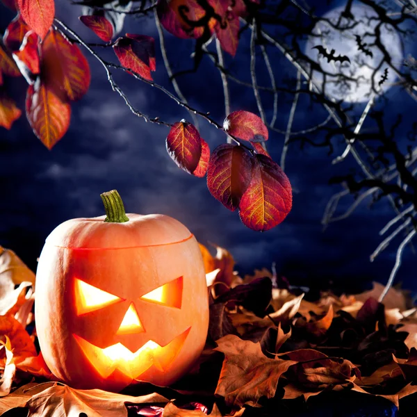 Halloween lantern pumpkin in dark sky clouds Stock Photo